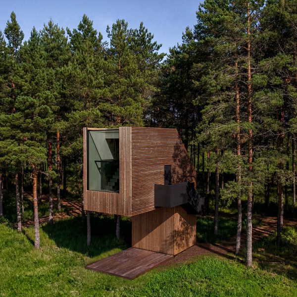 Арсенит устроил одноногий «домик на дереве» в эстонском сосновом лесу