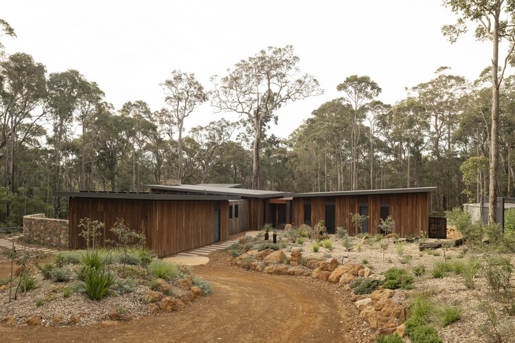 Дом на дереве / Архитектор Сюзанны Хант — фотография экстерьера, лес