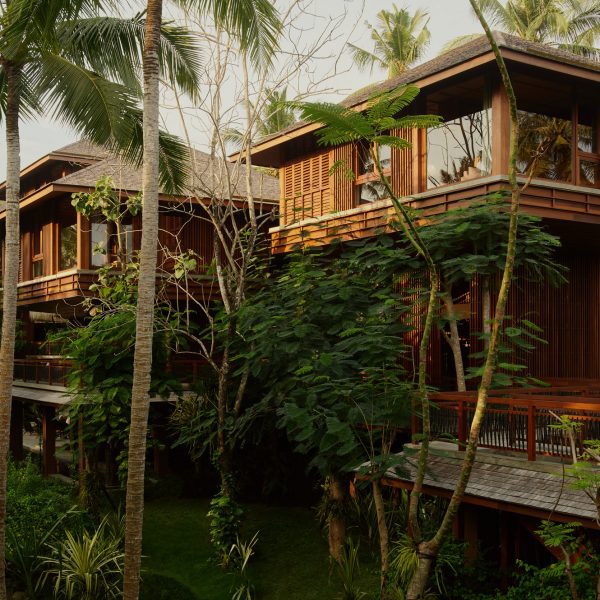 Лост Линденберг — «мечтательный» курорт на вершинах деревьев на Бали.