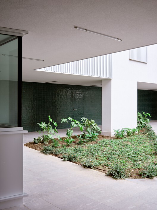 Pichi 12 Housing / Park Associati - Фотография интерьера, фасад, бетон