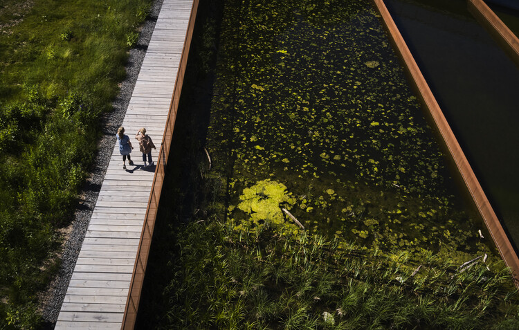 Пруд с ливневой водой в Exercisfältet / White Arkitekter — фотография экстерьера, сад