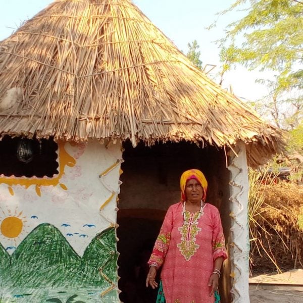 Ясмин Лари собирается построить в Пакистане миллион устойчивых к наводнениям домов
