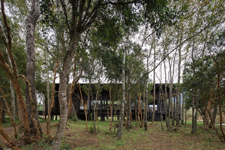 Дом с патио / Гильермо Эвиа Гарсиа + Каталина Поблете — фотография экстерьера, лес