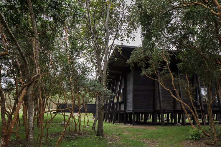 Дом с патио / Гильермо Эвиа Гарсиа + Каталина Поблете — фотография экстерьера, лес