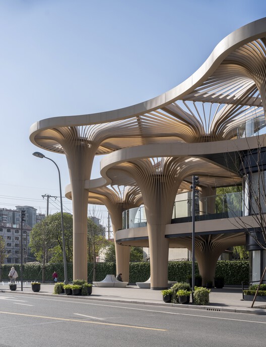 Рынок солнечных деревьев / Koichi Takada Architects - Экстерьерная фотография, фасад, колонна, окна