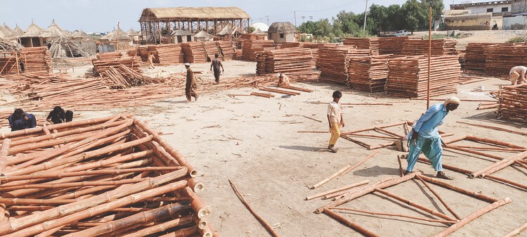 Ясмин Лари намерена построить в Пакистане миллион устойчивых к наводнениям домов к 2024 году — изображение 11 из 21