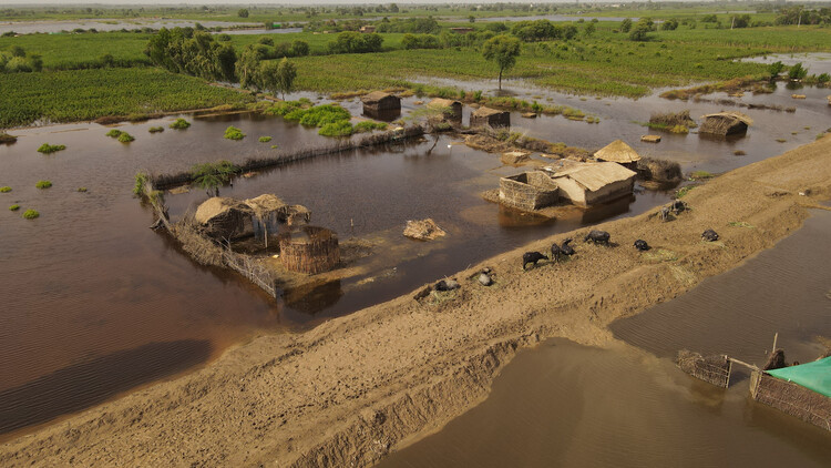 Ясмин Лари намеревается построить в Пакистане миллион устойчивых к наводнениям домов к 2024 году — изображение 2 из 21