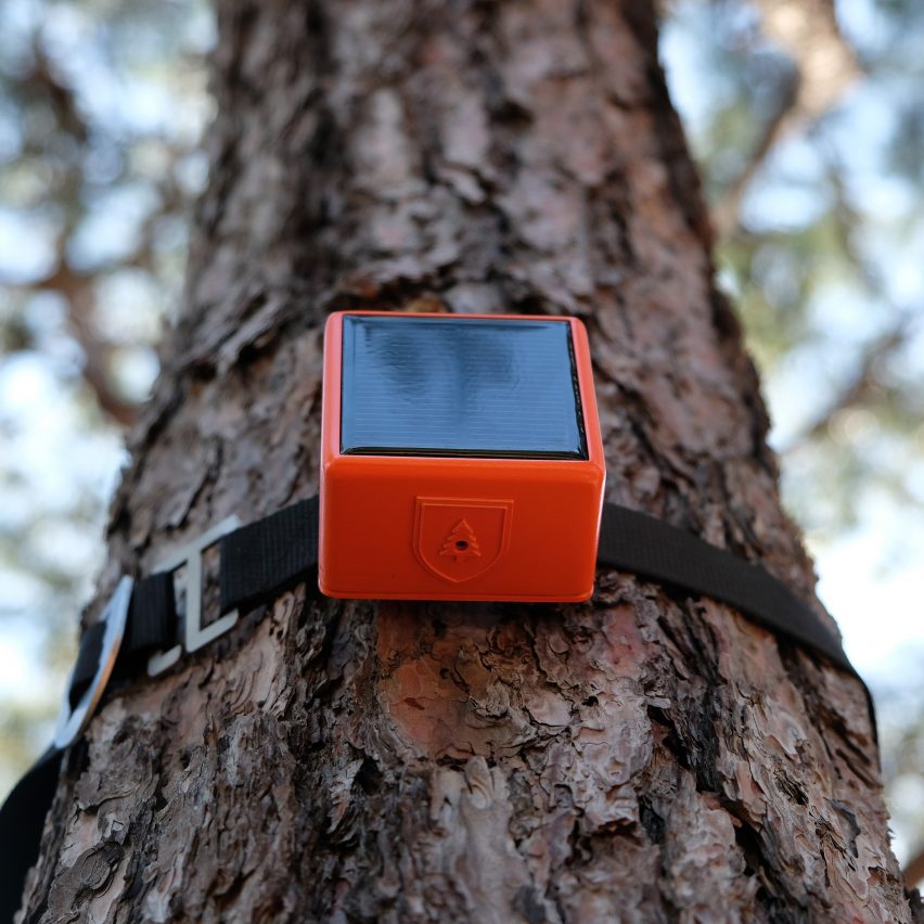 Фотография устройства ForestGuard, привязанного к дереву.