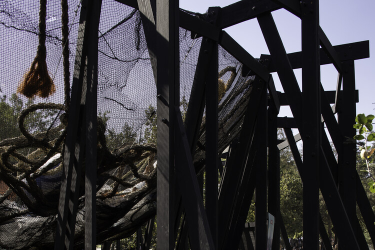 Перевернутый купол / Гильермо Эвиа Гарсия - Экстерьерная фотография, Лес