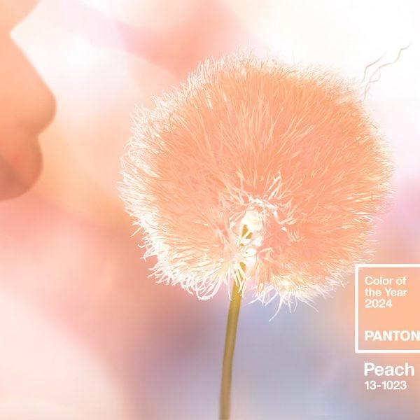Peach Fuzz назван цветом 2024 года по версии Pantone