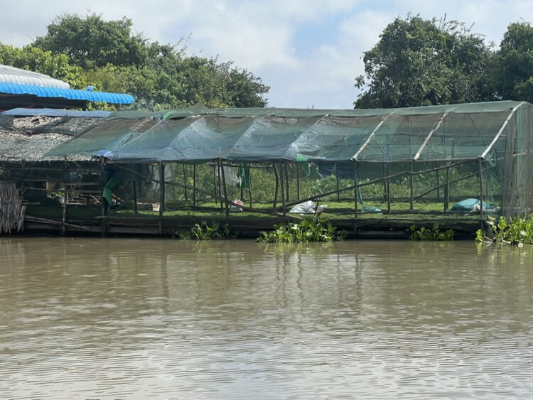 Климатические уроки плавучих деревень Камбоджи — изображение 9 из 22
