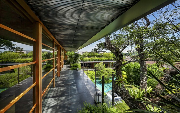 Rain Tree House / Guz Architects - Экстерьерная фотография, Лес