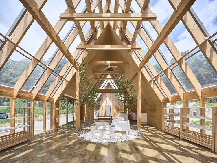 Исследование древесины и стекла в 11 современных архитектурных проектах — изображение 5 из 14
