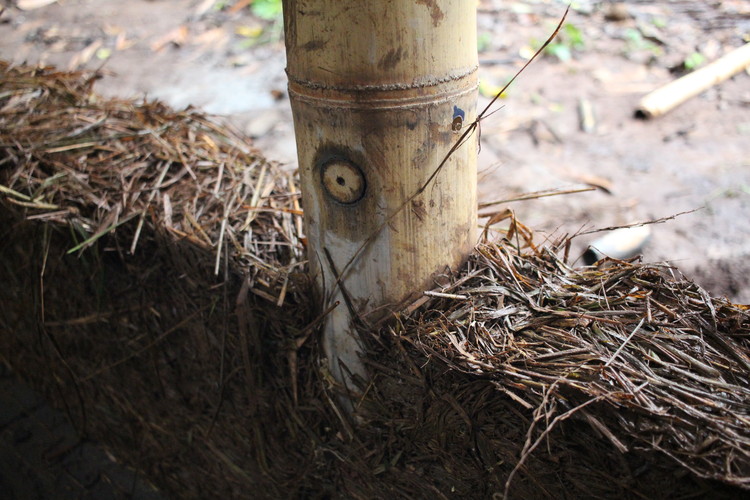 Как (и почему) интегрировать землю и бамбук в ваш архитектурный проект — изображение 1 из 26