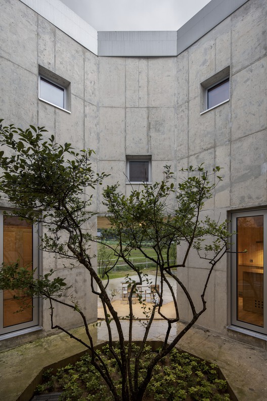 Hoji Gangneung Houses / aoa Architects - Экстерьерная фотография, окна, сад, двор