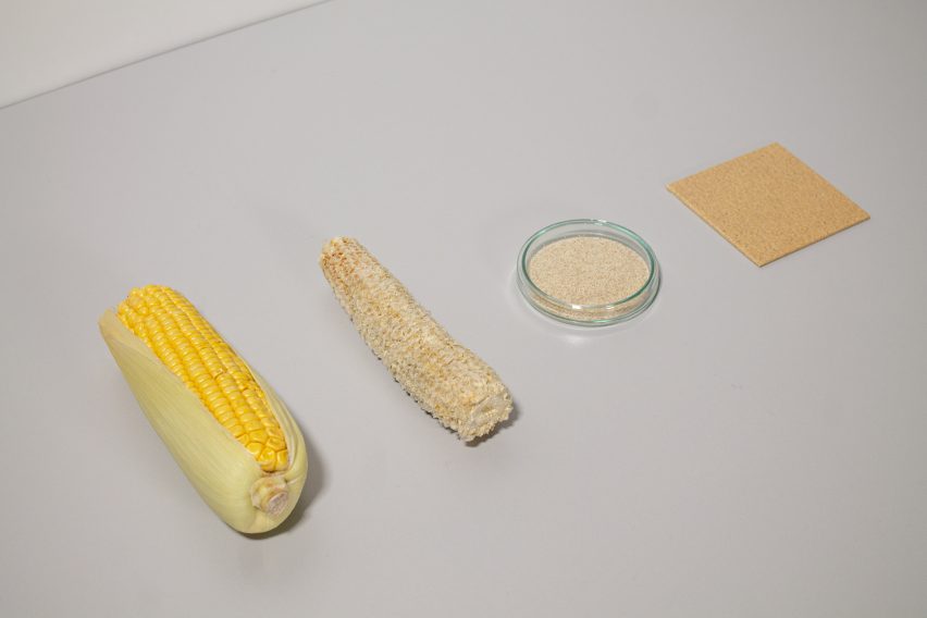 Фотография четырех объектов в плоском формате: слева полный початок кукурузы, за ним следует голый початок кукурузы, затем небольшой поднос с измельченной биомассой, а затем плитка CornWall.