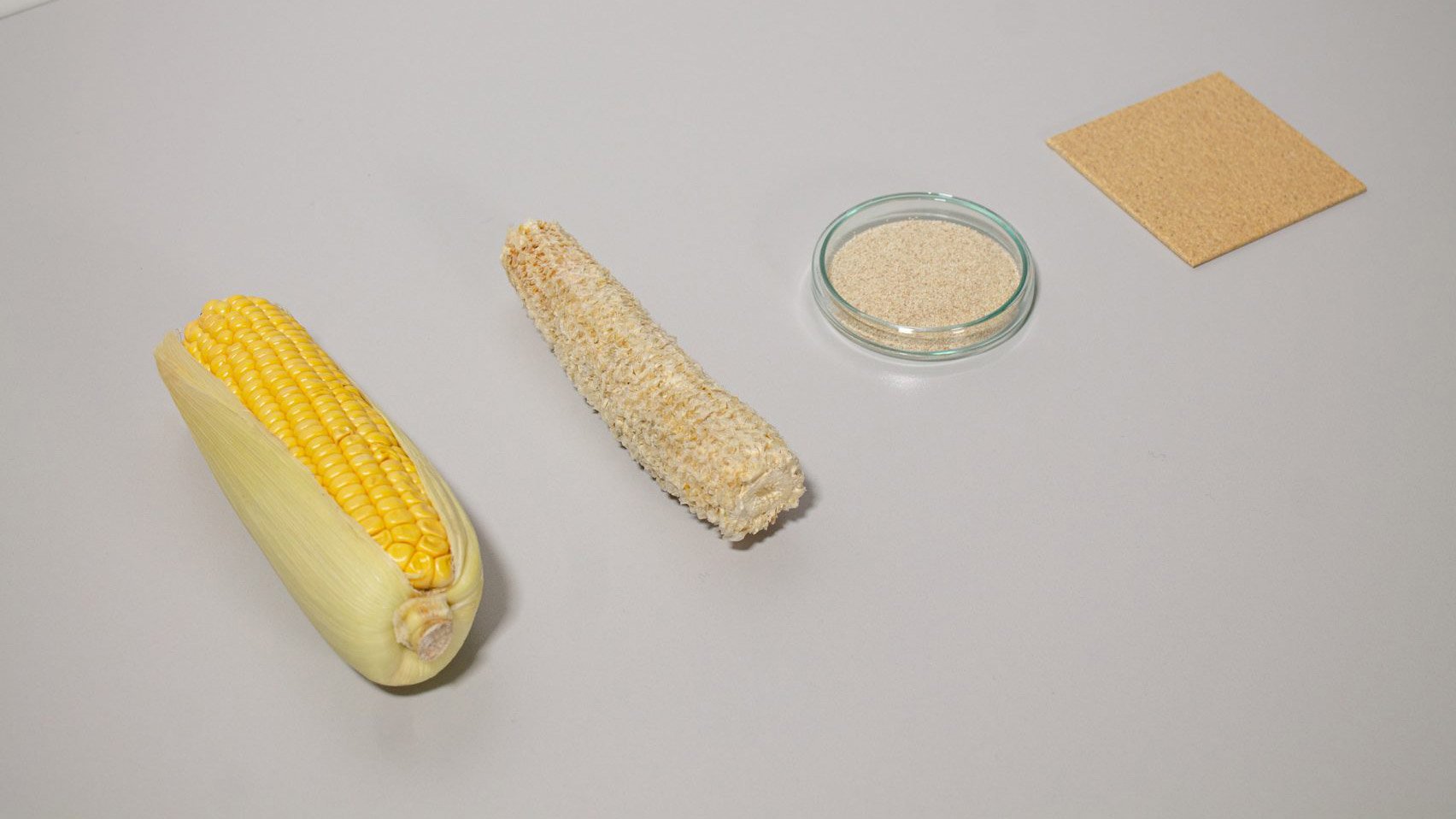 CornWall дает выброшенным кукурузным початкам новую жизнь в качестве внутренней плитки