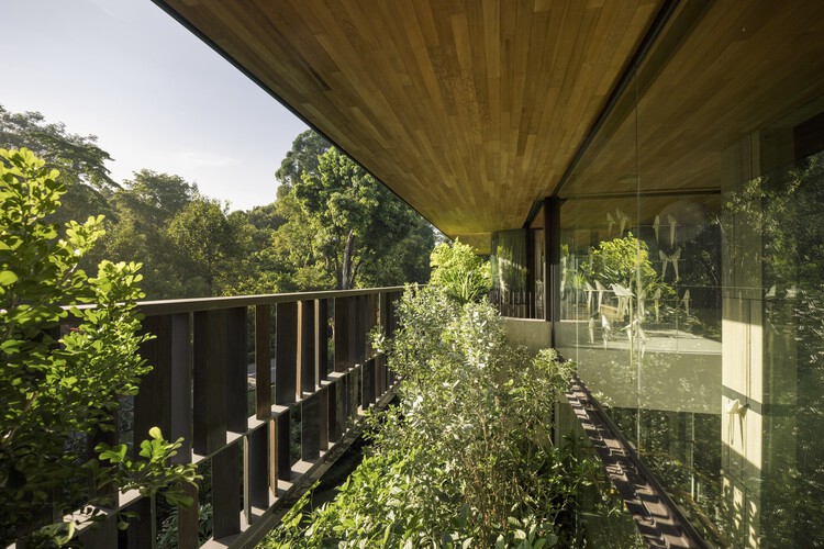 Touching Eden House / Wallflower Architecture + Design - Экстерьерная фотография, Лес, Сад