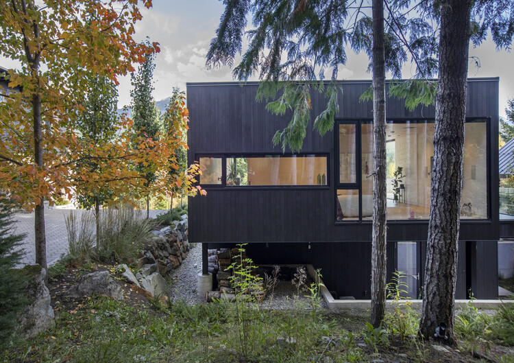 Дом на верхушке дерева в Уистлере / Evoke International Design — фотография экстерьера, окна, лес