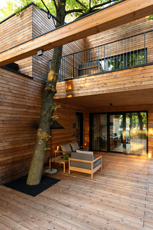 Preistoriche Green Lodge / Studio Apostoli - Фотография интерьера, балка, окна, терраса, двор