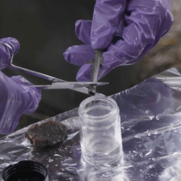 Биопластиковые соломинки найдены неповрежденными после года пребывания под землей в исследовании 5 Gyres