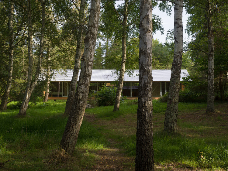   Vollerup House / Høyer Arkitektur - Экстерьерная фотография, Лес