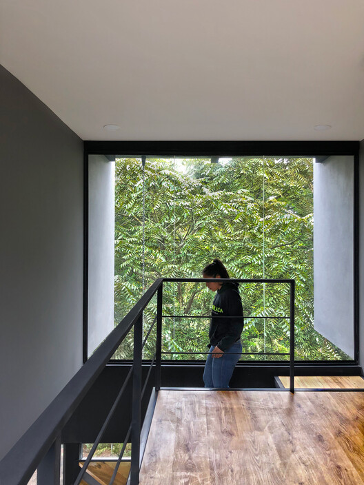 Ветви дома и камни / Ruptura Morlaca Arquitectura - Фотография интерьера, перила