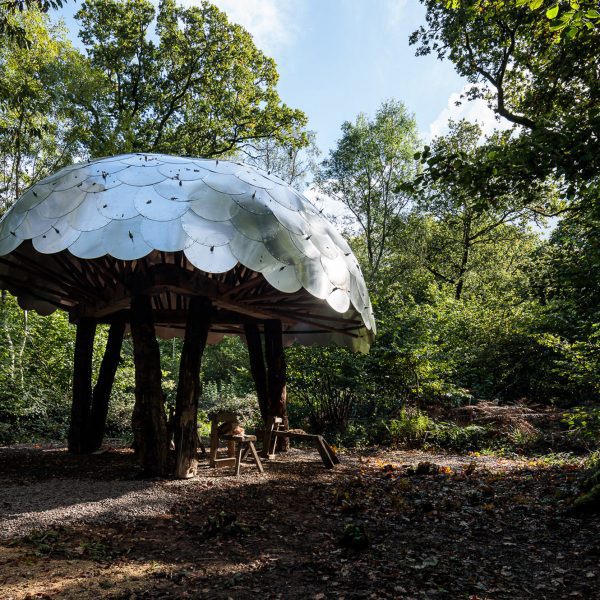 Invisible Studio и Pearce+ строят куполообразный павильон в Уэстонбирте