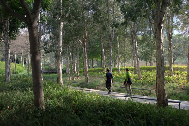 Парк Гуйвань в Цяньхае / Полевые операции – фотография экстерьера, лес