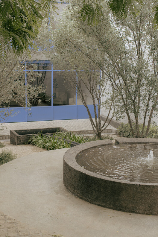 Дом Сан-Игнасио / Amarillo Amate Arquitectura - Фотография экстерьера, сад