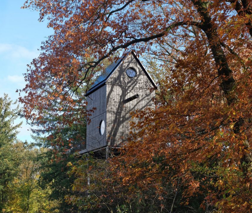 Деревянный дом, похожий на птичье гнездо, стоит среди деревьев