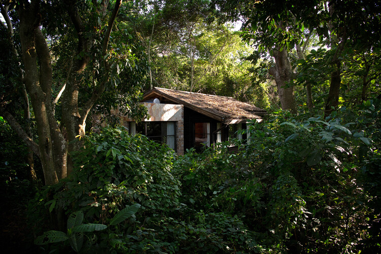 Entebbe Forest Lodge / Localworks - Экстерьерная фотография, окна, лес