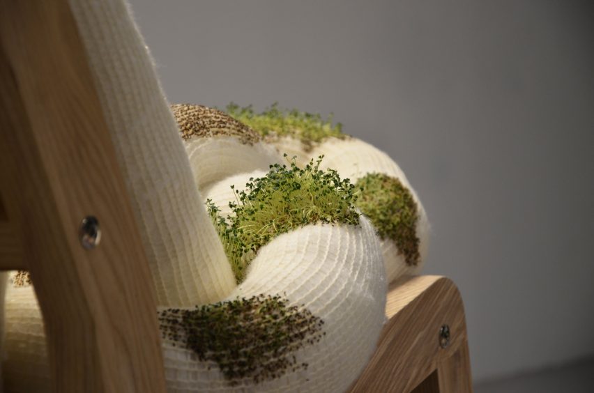 Chia-стул для людей и растений от Алисы Хультквист, Эмели Сьоберг и Линнеи Нильссон