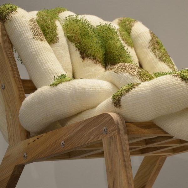 Chia-стул создан в первую очередь для растений, а затем для людей