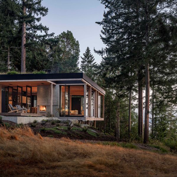 MW Works проектирует дом Longbranch, который будет гармонировать с лесной обстановкой