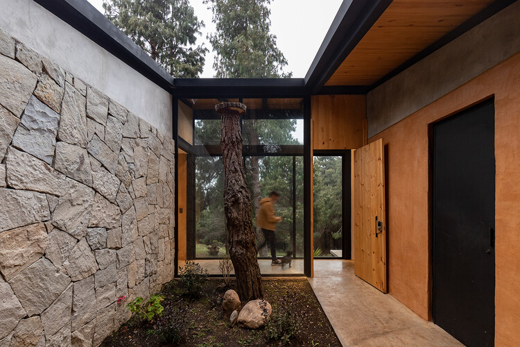Casa del Bosque / Абель Гусман Ларрива + Хуан Винтимилья - Фотография экстерьера, окна, фасад, балка