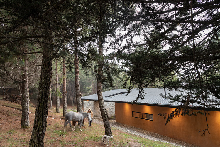 Casa del Bosque / Абель Гусман Ларрива + Хуан Винтимилья - Фотография экстерьера, окна, лес