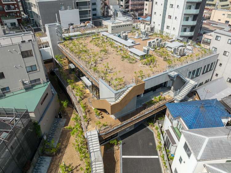 КАНАМЭ НО МОРИ: Коммерческое здание Keystone Forest / Nori Architects + Takada Landscape Design Co. - Фотография интерьера, окон, городского пейзажа, фасада