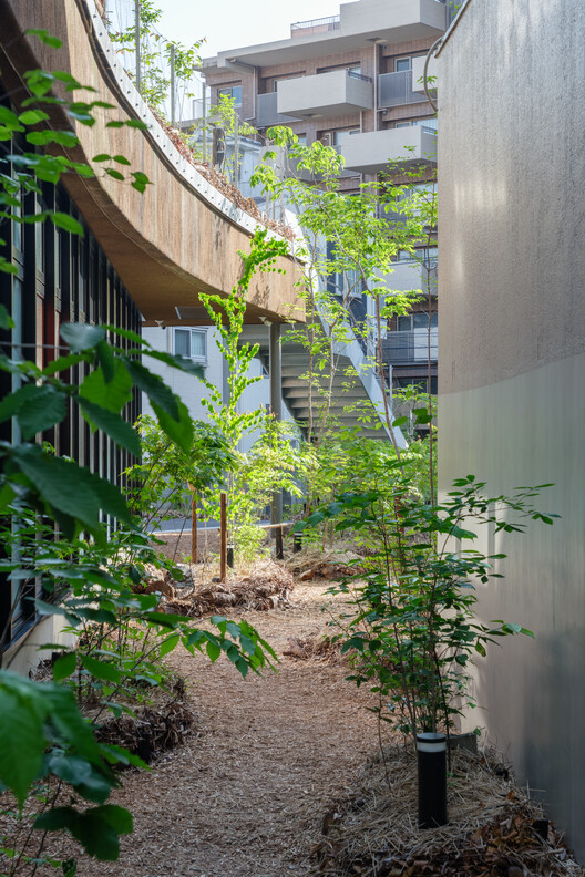 КАНАМЭ НО МОРИ: Коммерческое здание Keystone Forest / Nori Architects + Takada Landscape Design Co. — изображение 10 из 30