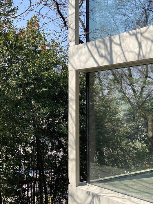 House C / celoria Architects - Фотография экстерьера, окна