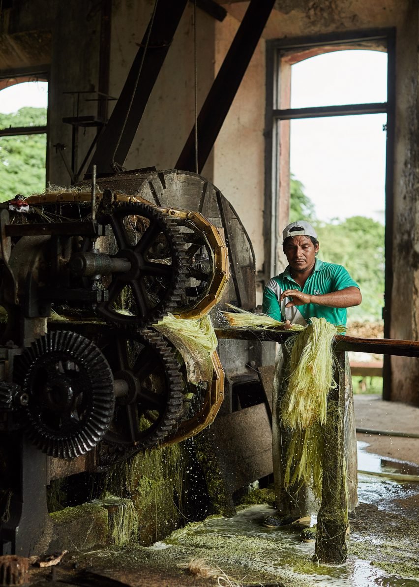 Производство текстиля из агавы в Мексике