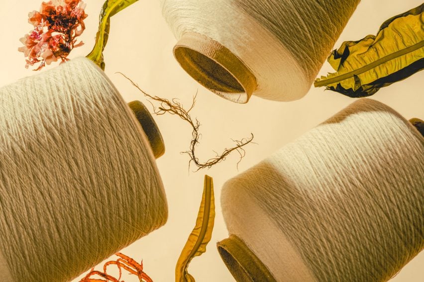 Keel Labs производит пряжу для текстильной промышленности из водорослей