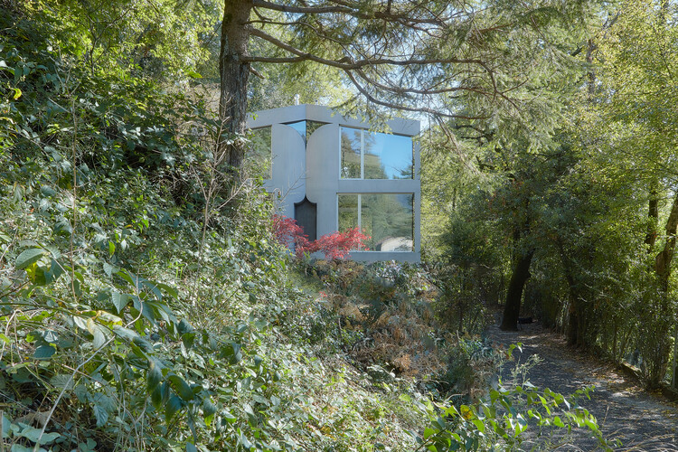 House C / celoria Architects — фотография экстерьера, окна, лес