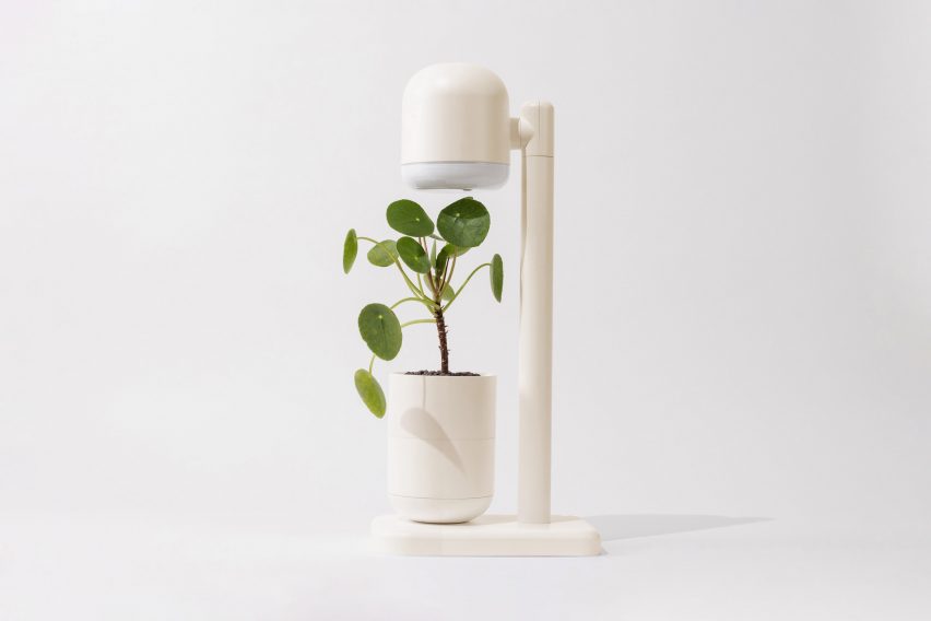 Лампа для выращивания растений с небольшим растением