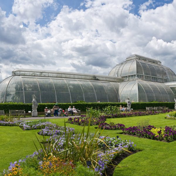 Исследование показало, что ботанические сады обладают «большим охлаждающим эффектом», чем парки
