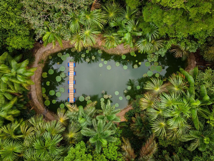 Города Амазонки: каково жить рядом с крупнейшим тропическим лесом на планете — изображение 12 из 12