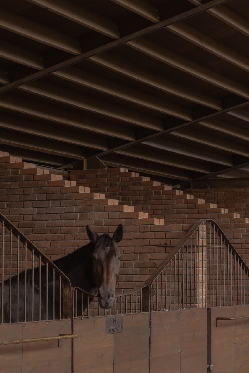 Лошадь высовывает голову через металлические ворота внутри конюшни