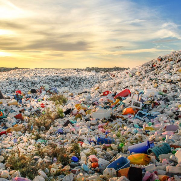 «Нам необходимо покончить с пластиком ради здоровья человека и планеты»