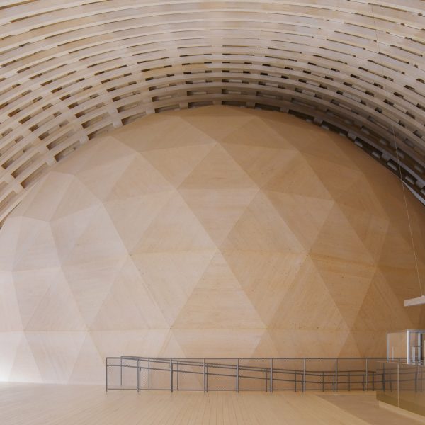 Элдинг Оскарсон создает купол из CLT внутри пристройки шведского музея