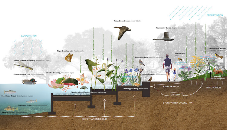 Новые сады Конституции станут Меккой биоразнообразия – изображение 4 из 7